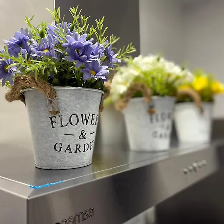 Del Mar Y De - Apartmentos En Pleno Centro Lejlighed Córdoba