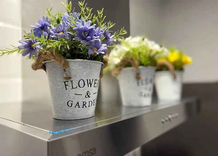 Del Mar Y De - Apartmentos En Pleno Centro 公寓 科爾多瓦